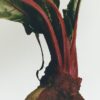 Beetroot room spray Beetroot room spray