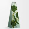 Cucumber Wax Candleholder Cucumber Wax Candleholder