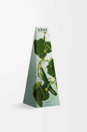 Cucumber Wax Candleholder Cucumber Wax Candleholder