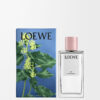 Ivy room spray Ivy room spray