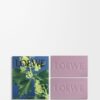 Ivy Soap Bar Duo Set Ivy Soap Bar Duo Set