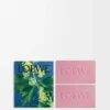 Ivy Soap Bar Duo Set