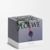 Large Beetroot Candle Large Beetroot Candle