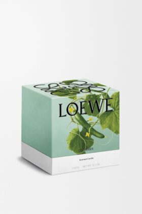Large Cucumber Candle Large Cucumber Candle