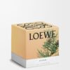 Large Cypress Balls Candle Large Cypress Balls Candle