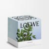 Large Incense Candle Large Incense Candle