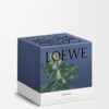 Large Ivy Candle Large Ivy Candle