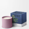 Large Ivy Candle Large Ivy Candle