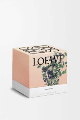Large Oregano Candle Large Oregano Candle