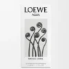 Loewe Agua Mar De Coral Eau De Toilette 50 Ml
