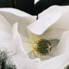 LOEWE Aura White Magnolia 100ml LOEWE Aura White Magnolia 100ml