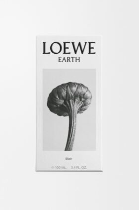 LOEWE Earth Elixir 100ml LOEWE Earth Elixir 100ml