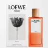 Loewe Solo Ella Eau De Parfum 100 Ml Loewe Solo Ella Eau De Parfum 100 Ml