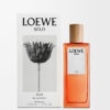 LOEWE Solo Ella EDP 50ml LOEWE Solo Ella EDP 50ml