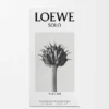 Loewe Solo Vulcan Eau De Parfum 100 Ml
