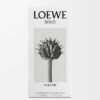LOEWE Solo Vulcan EDP 50ml LOEWE Solo Vulcan EDP 50ml