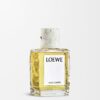 LOEWE Wild Coffee EDP 100ml LOEWE Wild Coffee EDP 100ml