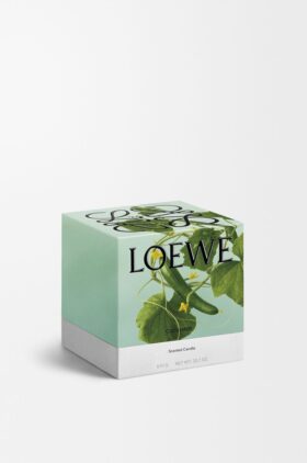 Medium Cucumber Candle Medium Cucumber Candle