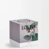 Medium Honeysuckle Candle Medium Honeysuckle Candle