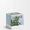 Medium Incense Candle Medium Incense Candle