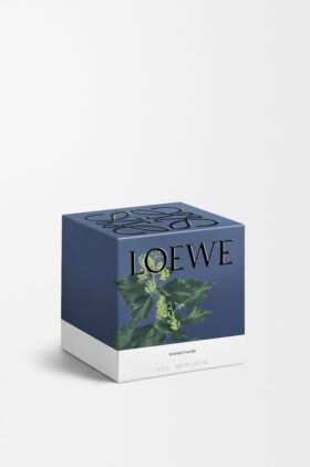 Medium Ivy Candle