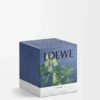 Medium Ivy Candle Medium Ivy Candle