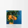 Medium Orange Blossom Candle Medium Orange Blossom Candle