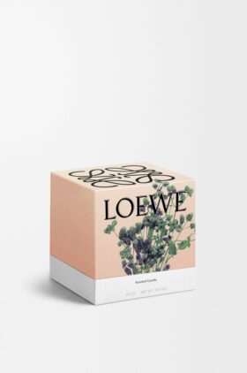 Medium Oregano Candle Medium Oregano Candle