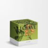Medium Pistachio Candle Medium Pistachio Candle