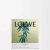 Medium Scent of Marihuana Candle Medium Scent of Marihuana Candle