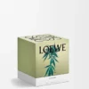 Medium Scent of Marihuana Candle Medium Scent of Marihuana Candle