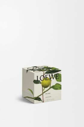 Midi Earl Grey Candle Midi Earl Grey Candle