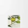 Midi Earl Grey Scented Candle Midi Earl Grey Scented Candle