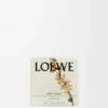Midi Sweet Almond Scented Candle Midi Sweet Almond Scented Candle