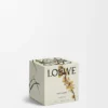 Midi Sweet Almond Scented Candle Midi Sweet Almond Scented Candle