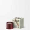 Midi Sweet Almond Scented Candle Midi Sweet Almond Scented Candle