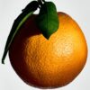 Medium Orange Blossom Candle Medium Orange Blossom Candle