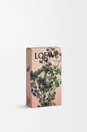Oregano room spray Oregano room spray