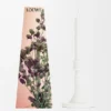 Oregano Wax Candleholder Oregano Wax Candleholder