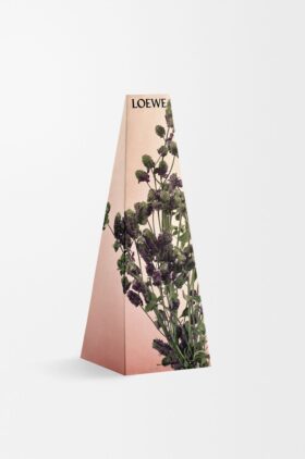 Oregano wax candleholder Oregano wax candleholder