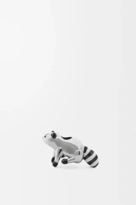 Raccoon Dice Raccoon Dice