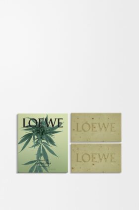 Scent of Marihuana Soap Bar Duo Set