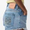 Shorts in Denim
