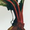 Large Beetroot Candle Large Beetroot Candle