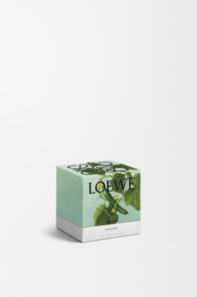 Small Cucumber Candle Small Cucumber Candle
