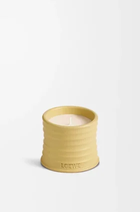Small Honeysuckle Candle