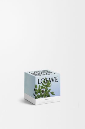 Small Incense Candle Small Incense Candle