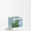 Small Incense Candle Small Incense Candle