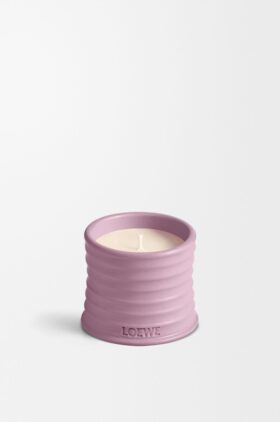 Small Ivy Candle