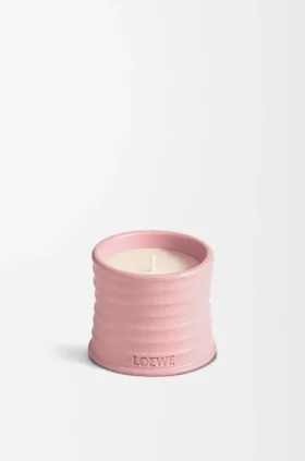 Small Ivy Candle Small Ivy Candle